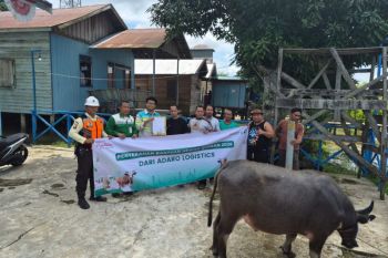 Adaro Logistics Group bantu hewan kurban ke daerah operasional