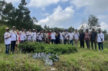 Satria DIY tanam 1.800 bibit pohon di lereng Merapi perkuat ekonomi warga