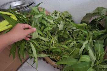 Lampung perluas Gerakan Selamatkan Pangan di daerah