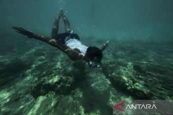 Enjoying the charm of Labengki Island with its coral reefs and blue lagoon