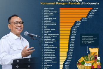 NTB: Lebih dari lumbung pangan