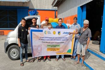 Bulog bantu penuhi pakan ternak di Sulawesi Tengah lewat SPHP jagung