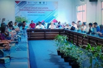 Pemkab Pasaman Barat edukasi petani jagung upaya peningkatan ekonomi