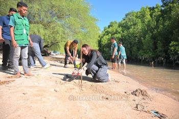 Pemkot Kupang menggandeng kaum muda lestarikan mangrove pesisir