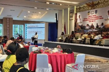 PSN di Papua Selatan berpotensi serap 15 ribu tenaga kerja