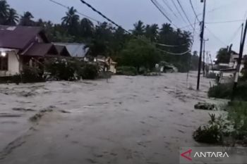BNPB: Penanganan banjir di Poso butuh dukungan alat berat