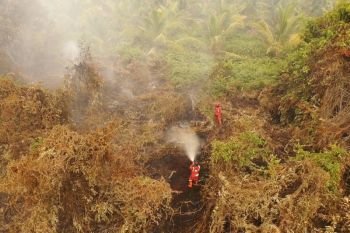 Manggala Agni berjibaku padamkan karhutla 60 ha di Pelalawan Riau