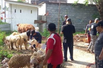 Perputaran ekonomi Idul Adha di Probolinggo capai Rp25,3 miliar
