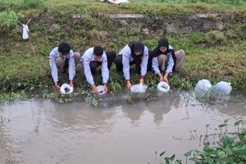 Mahasiswa UNY tebar 1.100 bibit ikan di Sungai Winongo untuk mendukung SDGs