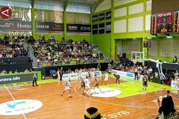 IBL nilai format kompetisi kandang-tandang sedot animo penonton