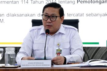 Pemerintah tegaskan ketersediaan stok pangan aman jelang Idul Adha