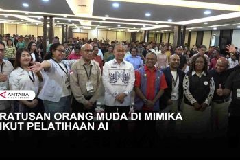 PELATIHAN AI UNTUK ORANG-ORANG MUDA DI MIMIKA