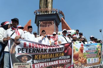 Peternak Rakyat Blitar minta perlindungan pemerintah