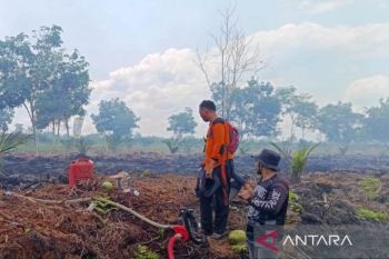 BPBD Aceh Barat kerahkan personel padamkan karhutla seluas dua hektare
