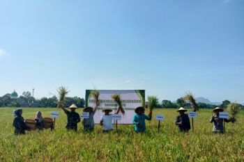Tulungagung perkuat posisi sebagai lumbung pangan daerah