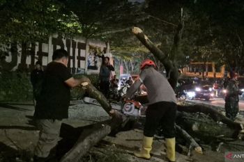 Lima pengendara sepeda motor tertimpa pohon tumbang di Jatinangor
