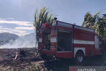 BNPB: Kondisi cuaca panas berpotensi perluas karhutla di Aceh