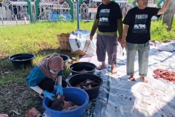 DPKPP Singkawang temukan 129 hewan kurban terinfeksi cacing hati