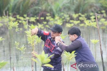 ULM lakukan monitoring pertumbuhan tanaman mangrove di Tanah Laut
