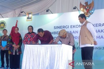 BGN instruksikan SPPG belanja telur ayam langsung ke peternak
