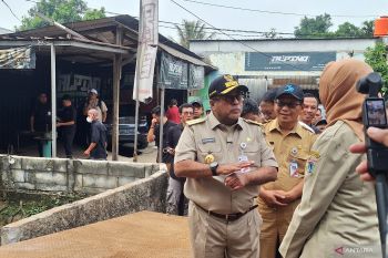 Pemprov DKI petakan saluran "armco" rusak untuk cegah jalan amblas