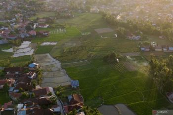 Padang tegaskan perlu keseimbangan lahan pertanian-kebutuhan investasi