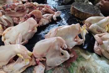 BPS Lampung catat inflasi tahunan Lampung pada Mei capai 1,94 persen