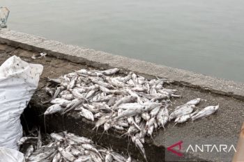 DLH Karawang telusuri kasus kematian massal ikan di saluran irigasi induk