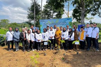 PNM tanam 29.000 pohon, perluas pemberdayaan masyarakat