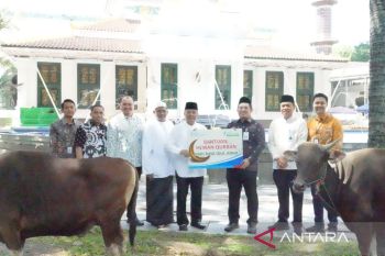 Bank Sumsel Babel distribusikan Bantuan Hewan Kurban ke Masyarakat Sumsel dan Babel