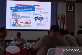 Polda Babel tangani 191 karhutla pada Januari hingga Mei 2026