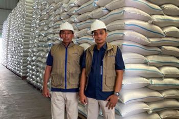 BULOG tembus 3 juta ton serapan gabah-beras petani