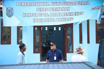 Bupati HSU tinjau UPT BBI Banjang untuk dorong kemandirian benih