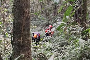 SAR evakuasi pendaki terperosok jurang Gunung Semeru