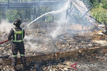 Kebakaran hanguskan 6.300 bibit ayam di Kuningan