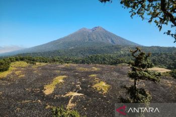 BPBD NTB mengimbau warga waspadai karhutla di kawasan Rinjani