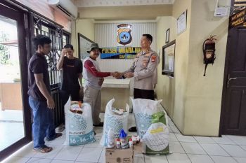 Polsek Muara Harus bantu bibit jagung dan sarana produksi ke petani