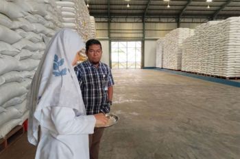 Bulog Makassar serap beras petani 58.147 ton di lima daerah Sulsel