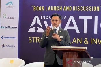 INACA sebut pasar domestik jadi kekuatan utama penerbangan RI