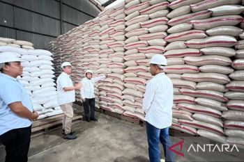 Stok beras awal Juni di Bulog Belitung capai 421 ton