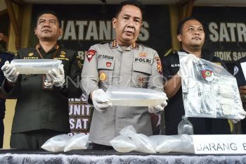 Polisi gagalkan penyelundupan benih lobster di Jambi
