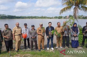 PNM tanam 29 ribu pohon dukung penghijauan nasional