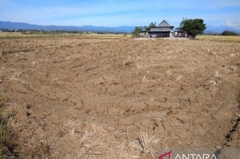 Pemkab Gowa gandeng daerah tetangga hadapi El Nino