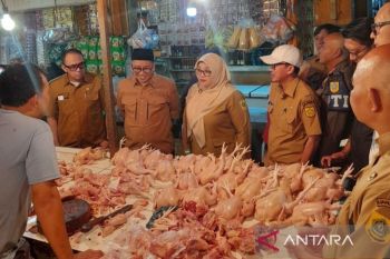 Harga pangan di Bogor masih terkendali meski rupiah melemah