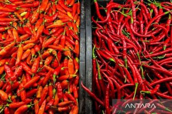 Harga pangan Kamis ini, cabai rawit Rp84.400/kg dan telur ayam Rp31.350/kg