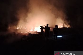 BPBD Muara Enim catat empat peristiwa karhutla selama sepekan