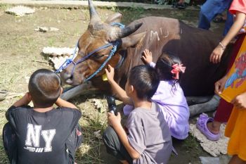 24 Tahun menanti, Warga Tinggiran Baru rasakan kebersamaan PLN saat Idul Adha