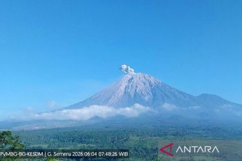 Gunung Semeru erupsi 7 kali Kamis pagi, tinggi letusan capai 700 meter