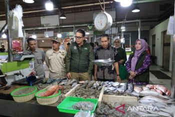 Bapanas: Pojok uji keamanan pangan di Tangerang perkuat pengawasan