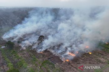 Wamenhut singgung restorasi gambut World Day to Combat Desertification